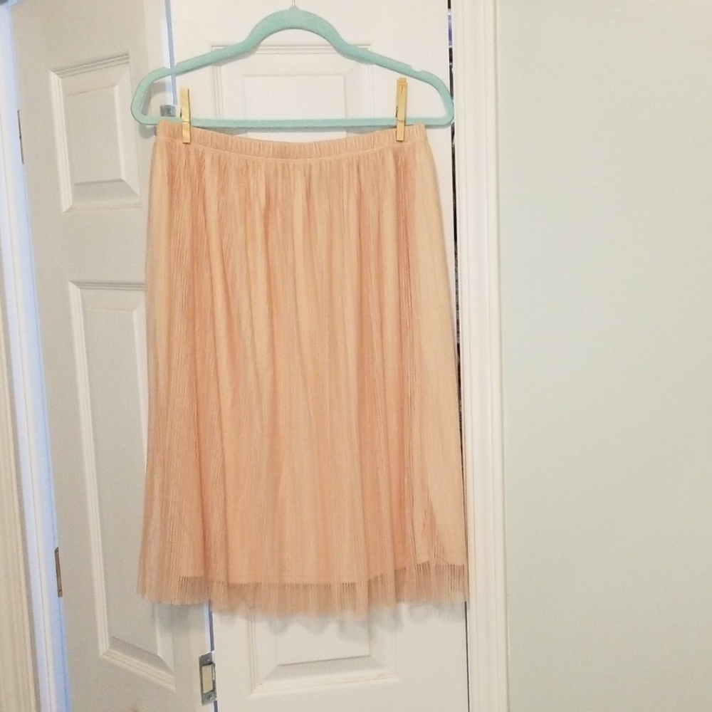 Mauve Pink Pleated Tulle Skirt
